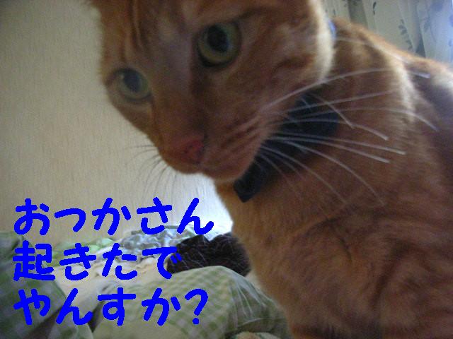 d0081025_23403576.jpg