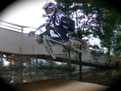 2006ゴリラ最終定点観測_b0065730_23331393.jpg