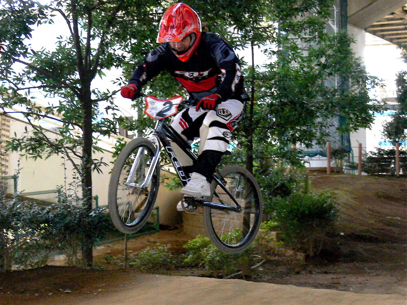 2006ゴリラ最終定点観測_b0065730_23374451.jpg