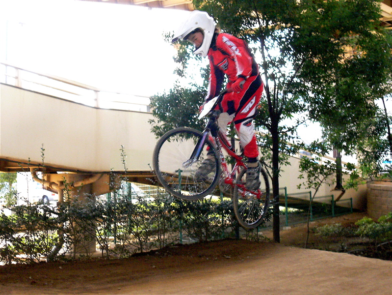 2006ゴリラ最終定点観測_b0065730_2340810.jpg
