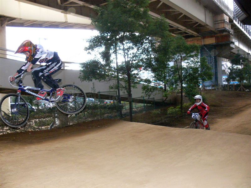 2006ゴリラ最終定点観測_b0065730_2343026.jpg
