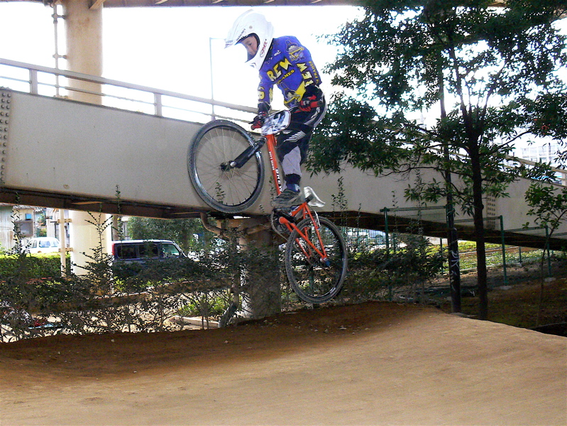 2006ゴリラ最終定点観測_b0065730_23432995.jpg