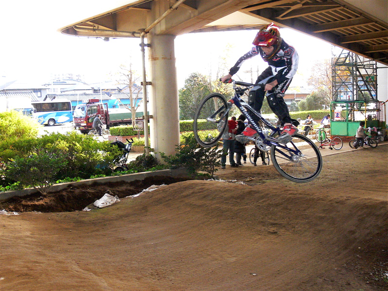 2006ゴリラ最終定点観測_b0065730_23464512.jpg