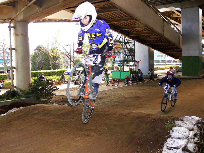 2006ゴリラ最終定点観測_b0065730_23485673.jpg