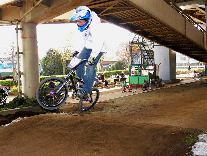 2006ゴリラ最終定点観測_b0065730_23493578.jpg