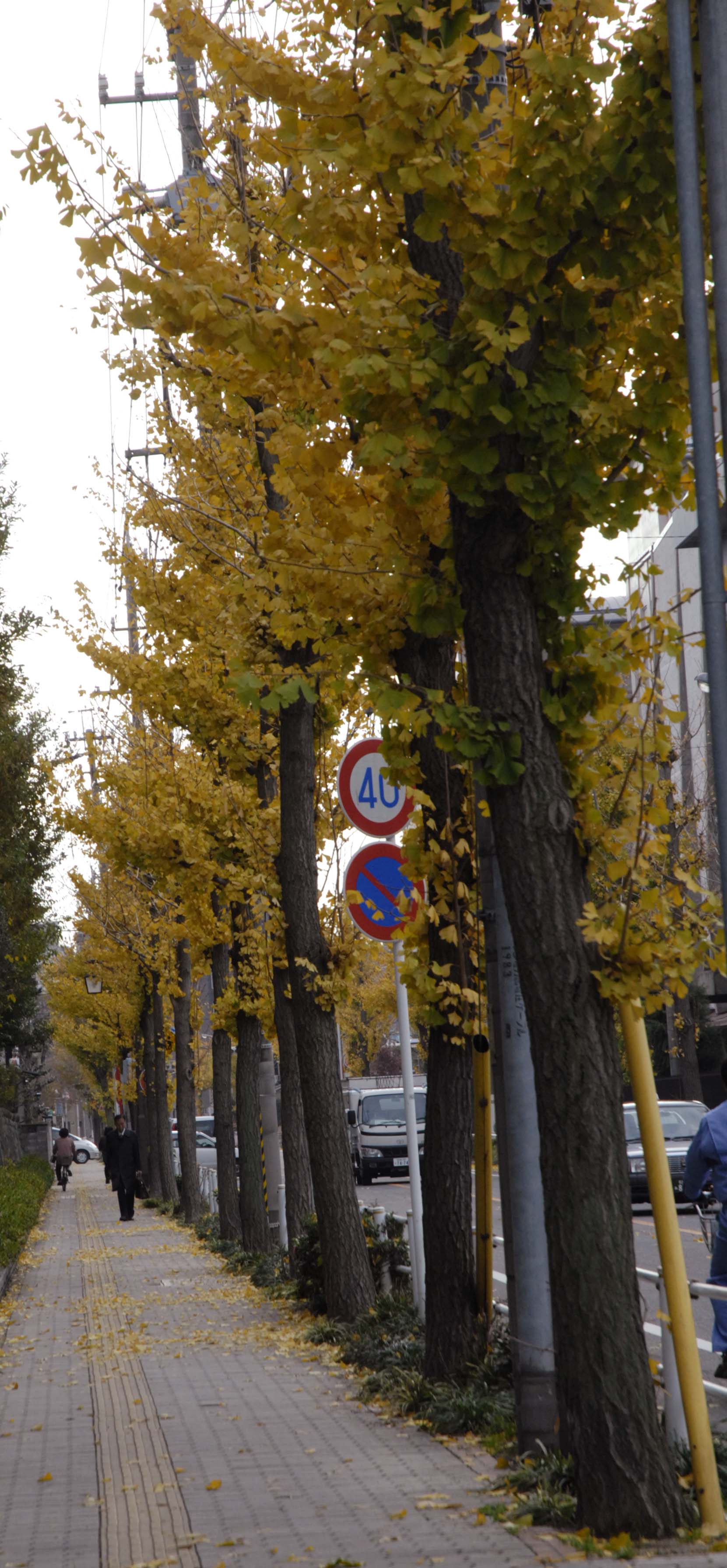 b0087840_16513310.jpg