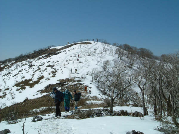 c0097754_17172272.jpg