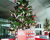 d0006756_18413174.jpg