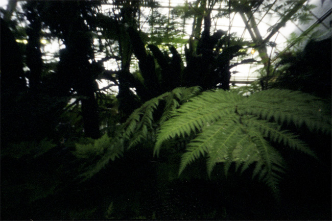 a0017257_23113954.jpg