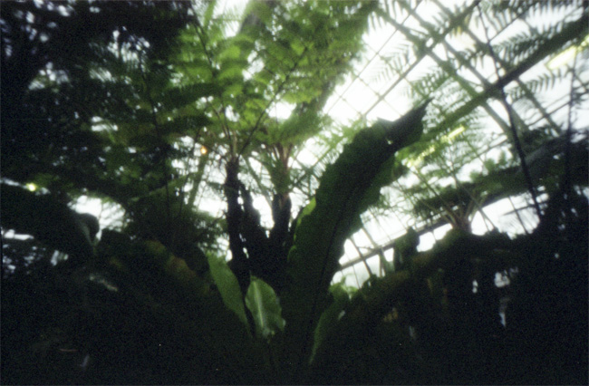 a0017257_23115513.jpg