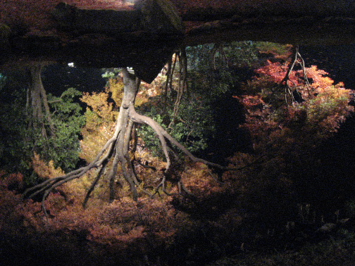 b0055171_23163496.jpg