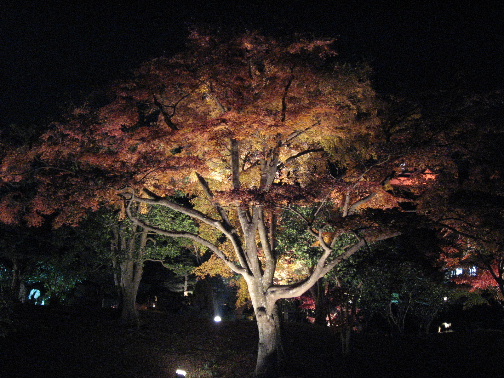 b0055171_23164976.jpg