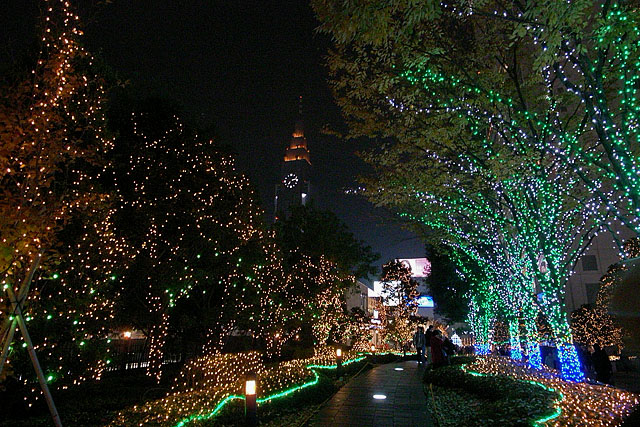 d0033274_09018.jpg