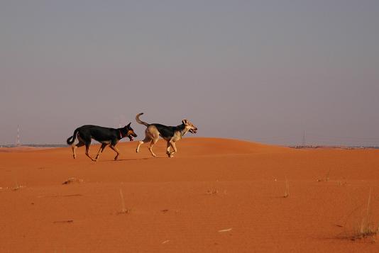 e0066474_217989.jpg