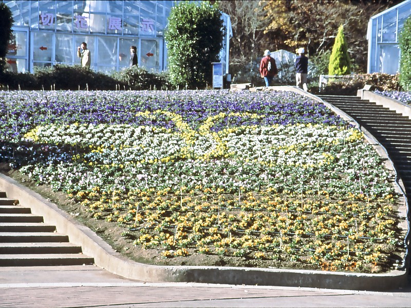 みかも公園（写真）_b0074377_23395135.jpg