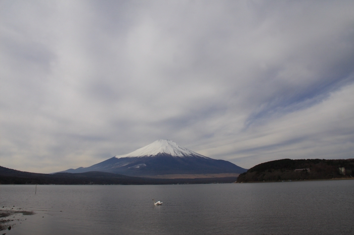 f0105478_13315950.jpg