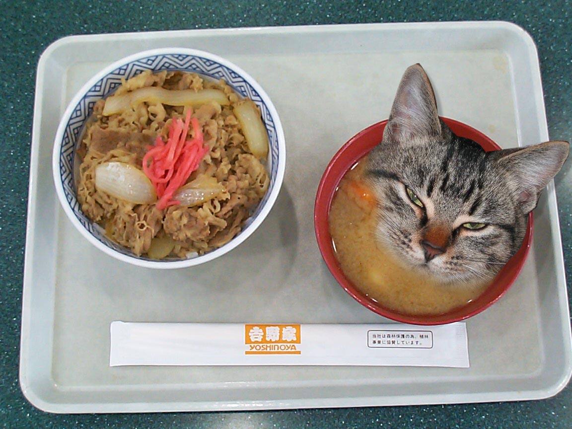 今日の飯 炭酸飲料 そなたに感謝を R15