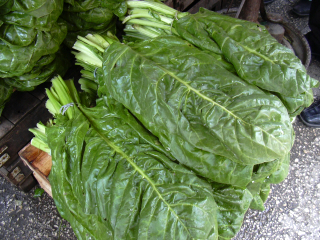 f0058691_60550.jpg