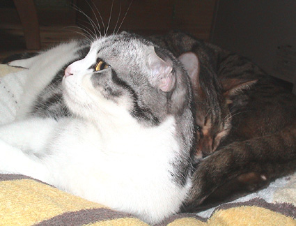 c0011300_2110271.jpg