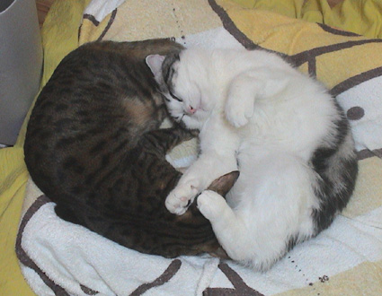 c0011300_21114295.jpg