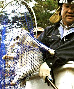 a0024005_21553629.jpg