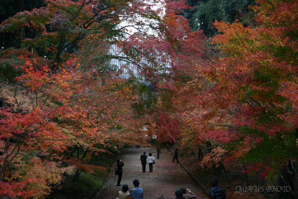 醍醐寺　其の弐_c0037519_23321025.jpg