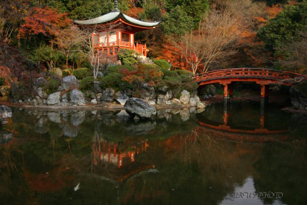 醍醐寺　其の弐_c0037519_2333026.jpg