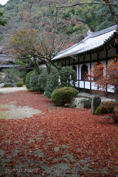 醍醐寺　其の壱_c0037519_625821.jpg