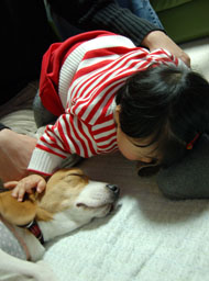 c0042319_1573463.jpg