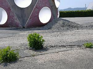 d0065737_0142131.jpg
