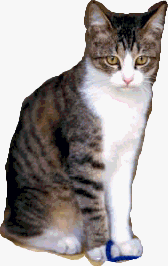 c0001339_19111652.gif