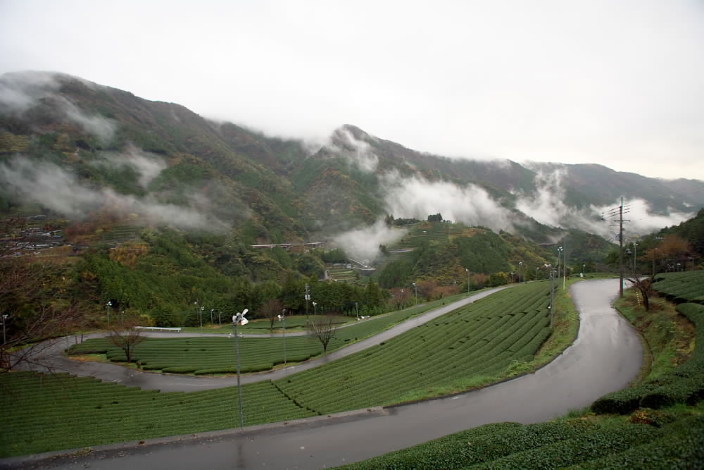 脱藩の道 葉山村・東津野山郷  高知県高岡郡津野町_a0078341_5351093.jpg