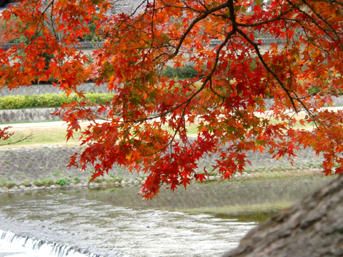 a0024250_23423213.jpg