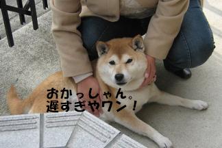 よりによって、この時期に、、、_c0049950_1046097.jpg