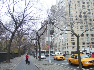 a0047577_11244720.jpg
