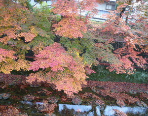 京都の紅葉♪_d0078486_7365814.jpg