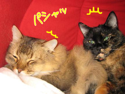 a0045990_22222372.jpg