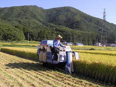 生産者です!_d0099708_21121115.jpg