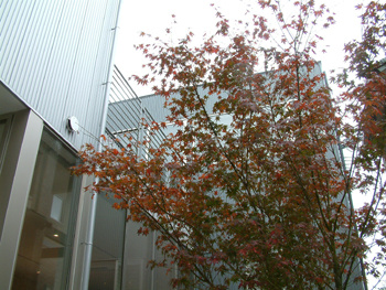 e0056411_226486.jpg