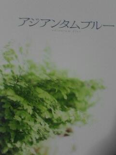 c0033213_5103453.jpg