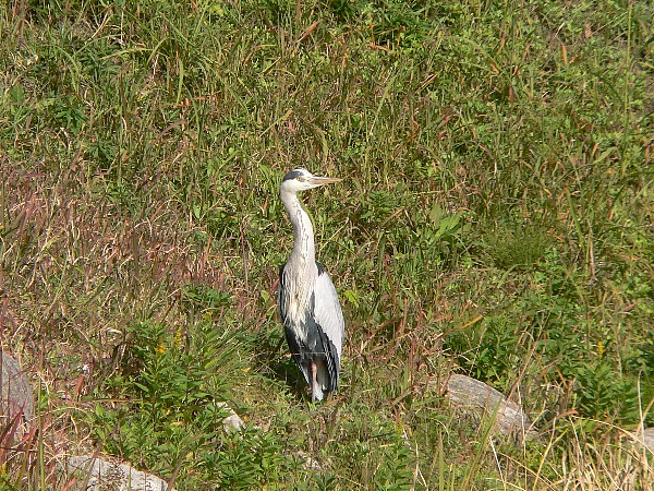 e0002314_15292591.jpg