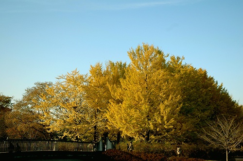 c0027027_041774.jpg