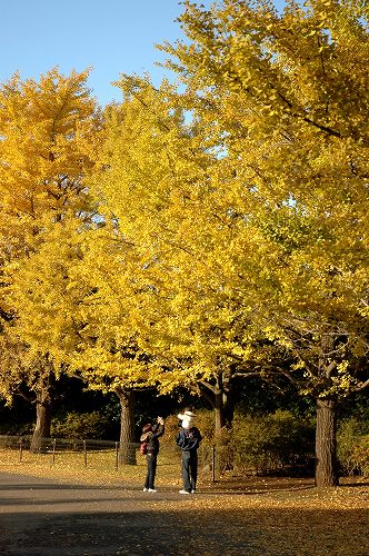 c0027027_043860.jpg