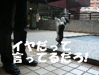 e0103831_2064241.jpg