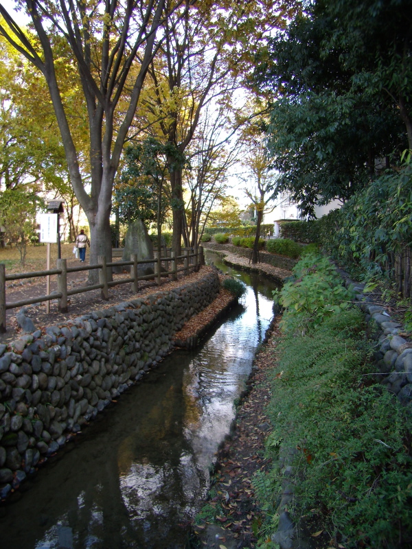 d0031447_16403823.jpg