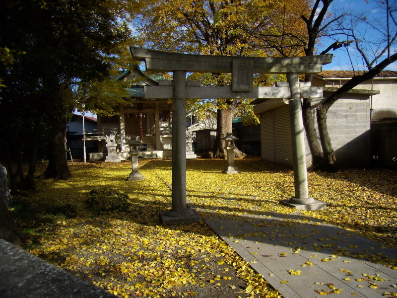 d0031447_16404945.jpg