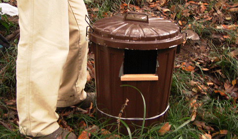 c0042548_161295.gif