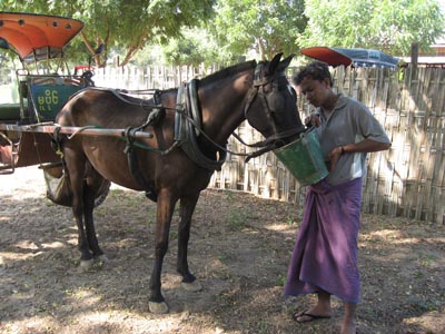 horse cart, Bagan (Nov 29th, 2006)_a0037455_1155877.jpg