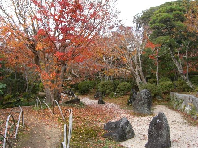 d0029756_17232430.jpg