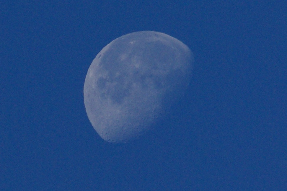 e0099496_15102765.jpg